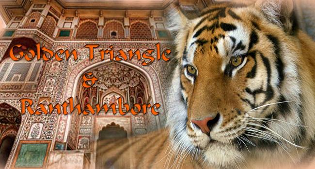 1467791732_1ran 2.jpg